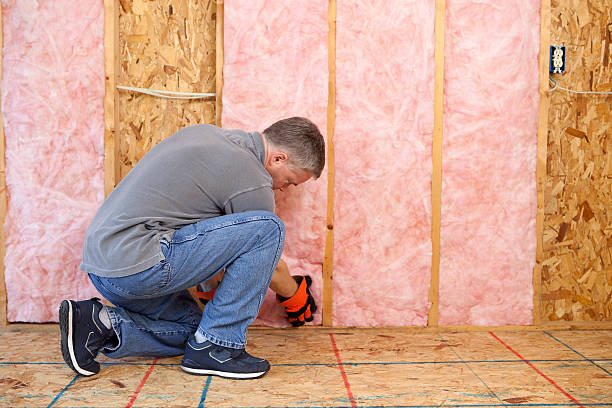 Best Insulation Removal  in Temple, TX