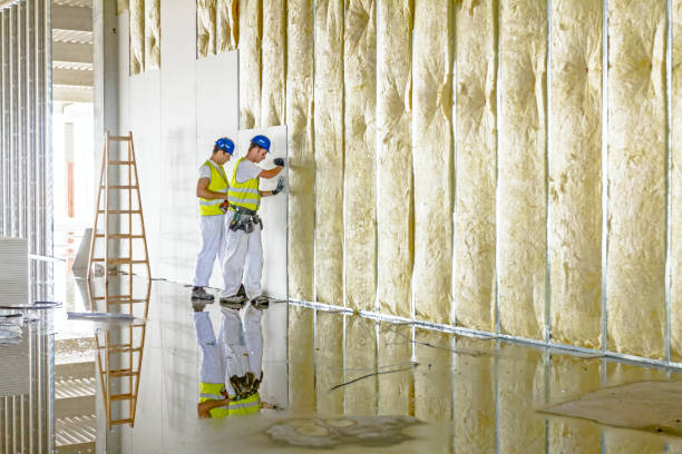 Best Commercial Insulation Services  in Temple, TX